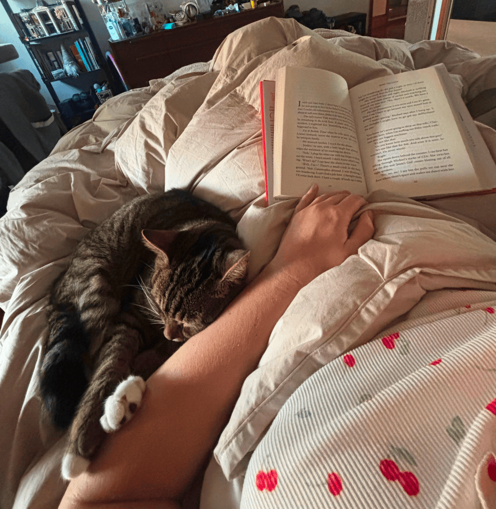 brown tabby cat snuggled up next to a woman reading in bed